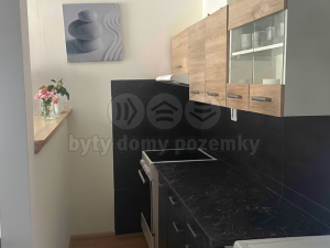 Pronájem bytu 1+kk, Plzeň, Krašovská, 30 m2