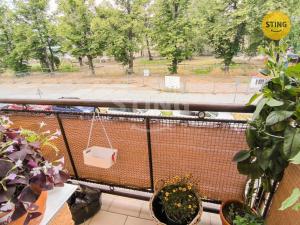 Pronájem bytu 2+1, Ostrava, Bozděchova, 71 m2