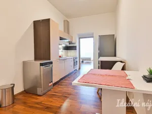 Pronájem bytu 1+1, Brno, Francouzská, 48 m2