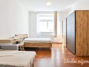 Pronájem bytu 1+1, Brno, Francouzská, 48 m2