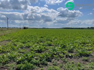 Prodej pole, Prostějov, 13852 m2