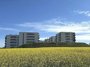 Pronájem bytu 1+kk, Plzeň, Františka Kováříka, 47 m2
