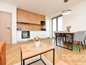 Pronájem bytu 2+kk, Beroun - Beroun-Město, Vorlova, 52 m2