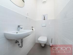 Pronájem bytu 2+kk, Praha - Žižkov, V zahrádkách, 56 m2