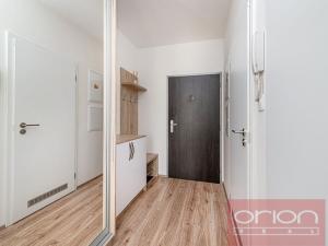 Pronájem bytu 2+kk, Praha - Žižkov, V zahrádkách, 56 m2