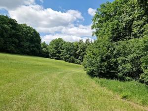 Prodej lesa, Bílá Lhota, 694 m2