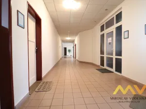 Pronájem kanceláře, Hradec Králové - Slezské Předměstí, Bieblova, 35 m2