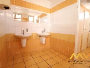 Pronájem kanceláře, Hradec Králové - Slezské Předměstí, Bieblova, 35 m2