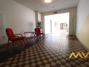 Pronájem kanceláře, Hradec Králové - Slezské Předměstí, Bieblova, 35 m2