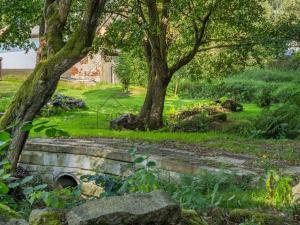 Prodej pozemku pro bydlení, Krňany, 1955 m2
