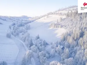 Prodej rodinného domu, Holčovice - Jelení, 298 m2