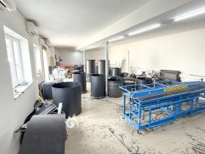 Prodej výrobních prostor, Tavíkovice, 2425 m2