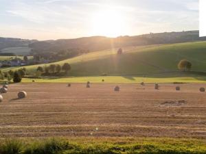 Prodej rodinného domu, Jamné nad Orlicí, 200 m2