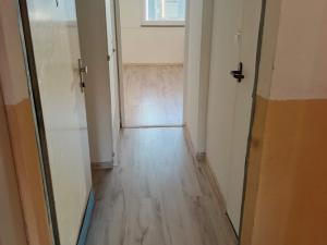 Pronájem bytu 1+1, Ústí nad Labem - Střekov, Truhlářova, 36 m2