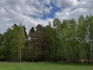 Prodej podílu pozemku, Stříbřec, 5449 m2