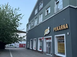 Pronájem bytu 1+kk, Plzeň, Nepomucká, 25 m2