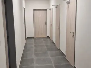 Pronájem bytu 1+kk, Plzeň, Studentská, 40 m2
