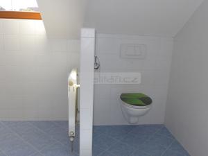 Pronájem bytu 3+kk, Plzeň - Černice, Na Vápenicích, 98 m2