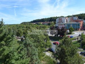 Pronájem bytu 1+kk, Plzeň - Doubravka, Mohylová, 20 m2