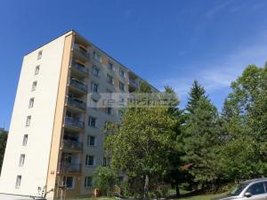 Pronájem bytu 1+kk, Plzeň - Doubravka, Mohylová, 20 m2