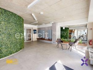 Pronájem bytu 1+kk, Zlín, Nad Stráněmi, 34 m2