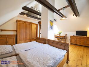 Prodej apartmánu, Bělá pod Pradědem - Bělá, 260 m2