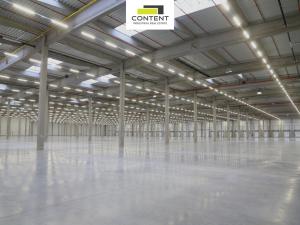 Pronájem výrobních prostor, Hladké Životice, Kujavská, 29000 m2