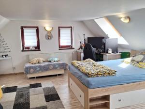Prodej rodinného domu, Krupka, Libušín, 100 m2