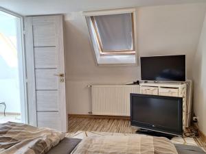Prodej rodinného domu, Krupka, Libušín, 100 m2