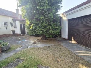 Prodej rodinného domu, Ptení - Ptenský Dvorek, 156 m2