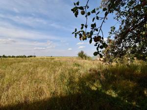 Prodej rodinného domu, Radovesnice II, 140 m2