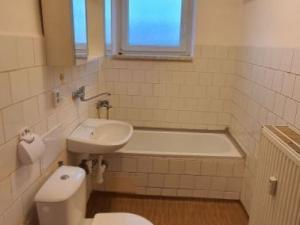 Pronájem bytu 1+1, Bor - Vysočany, 36 m2