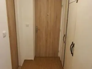 Pronájem bytu 1+1, Bor - Vysočany, 36 m2