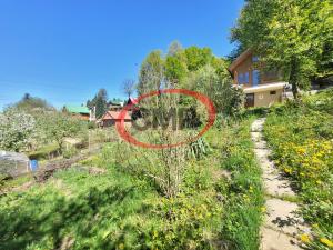 Prodej chaty, Albrechtice, 42 m2
