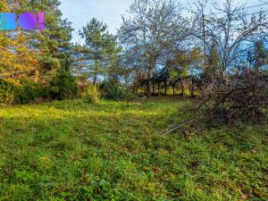 Prodej zahrady, Hodslavice, 835 m2