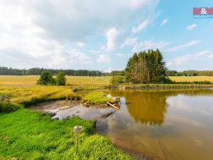 Prodej rybníku, Olbramov - Zádub, 6672 m2