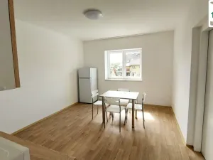 Pronájem bytu 1+1, Františkovy Lázně - Horní Lomany, Budovatelská, 50 m2