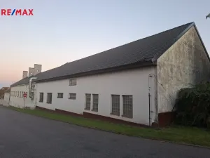 Prodej výrobních prostor, Tavíkovice, 4653 m2