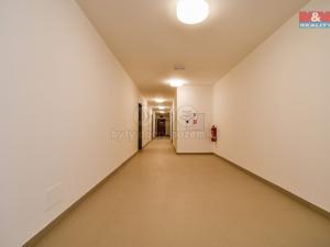 Pronájem bytu 2+kk, Ostrava - Hrabůvka, Hasičská, 54 m2