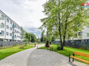 Pronájem bytu 2+kk, Ostrava - Hrabůvka, Hasičská, 54 m2