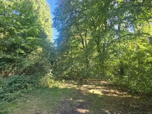 Prodej pozemku pro bydlení, Ústí nad Labem, Litoměřická, 5379 m2