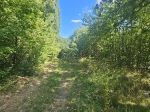 Prodej pozemku pro bydlení, Ústí nad Labem, Litoměřická, 5379 m2