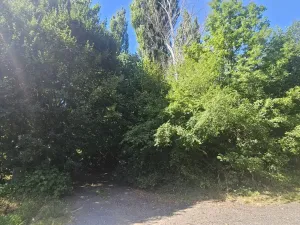 Prodej pozemku pro bydlení, Ústí nad Labem, Litoměřická, 5379 m2