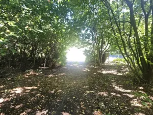 Prodej pozemku pro bydlení, Ústí nad Labem, Litoměřická, 5379 m2