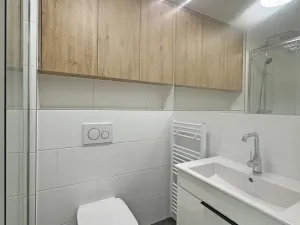 Pronájem bytu 1+kk, Praha - Braník, Branická, 30 m2
