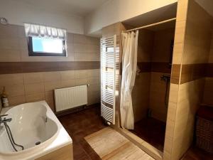 Prodej rodinného domu, Chotiněves, 300 m2