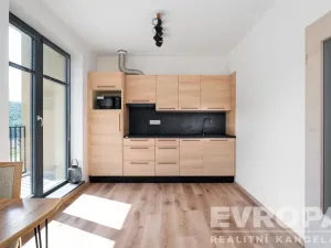Prodej bytu 1+kk, Černý Důl, 33 m2