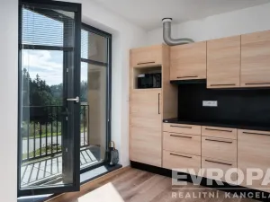Prodej bytu 1+kk, Černý Důl, 33 m2