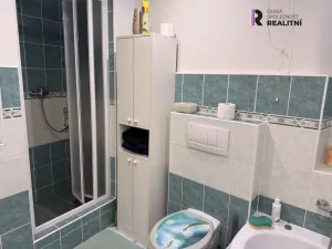 Prodej rodinného domu, Loket, T. G. Masaryka, 369 m2