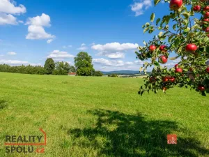 Prodej louky, Chrastava - Horní Chrastava, Frýdlantská, 7126 m2